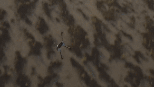 미국 무인 방산업체 안두릴이 개발한 살상용 드론 볼트-M (영상=안두릴 유튜브)