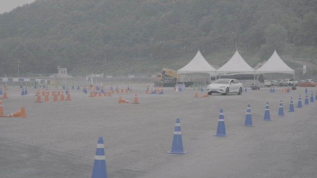 씰이 짐카나를 하고 있는 모습./영상=BYD코리아