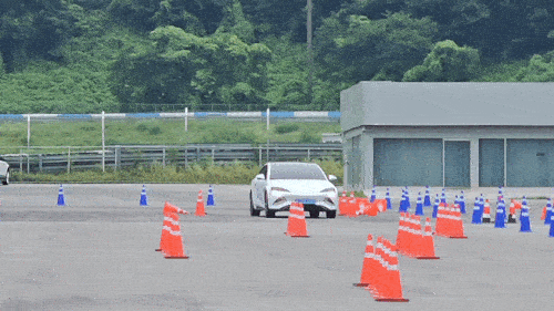 짐카나 프로그램(GIF) [촬영 임성호]