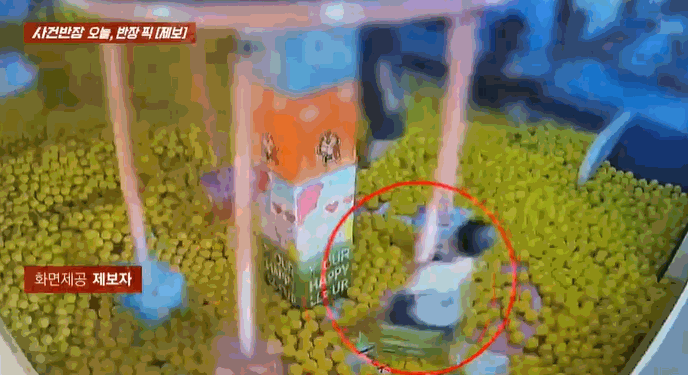 〈영상=JTBC '사건반장'〉