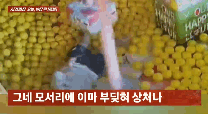 〈영상=JTBC '사건반장'〉