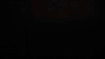 지난 3월 영남 산불 현장의 처참한 모습. 산을 타고 번지던 불길은 강풍을 타고 불과 2~3분만에 민가를 덮쳤다. 주민들은 대피하면서 기르던 개들을 풀어줬지만, 사방에서 날아든 불길에 크고 작은 화상을 입었다. 제보자 제공