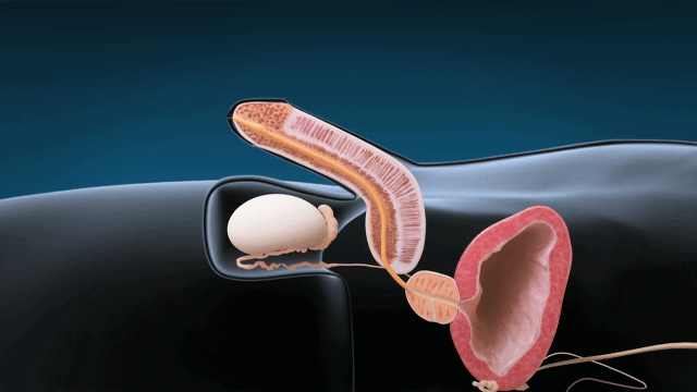 3eb4de21e9d73ab360b8dab04785736f913762bc3561bcb552706ec9cb683c48399a0d0c34ebf9f68dee3251c8a03929e74e126a6a