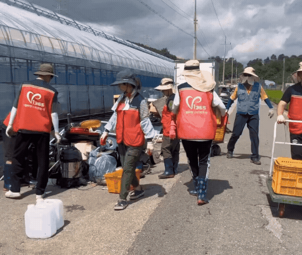 22일 오전 광주 북구 월출동 수해 복구 현장에서 기자가 비닐하우스 바깥으로 자재가 가득 담긴 노란 과일 박스를 들어 나르고 있다./영상=민수정 기자.