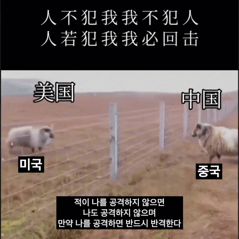 다이빙 중한중국대사가 지난 11일 SNS(소셜미디어)에 미국 트럼프 2기 행정부의 상호관계 90일 유예 결정에 대한 글과 함께 '미국'으로 표기된 양이 '중국'으로 표기된 양에게 돌진해 들이받았다가 물러나는 영상을 게재했다. 영상과 함께 '인불범아 아불범인 인약범아 아필회격'(人不犯我 我不犯人 人若犯我 我必回擊)라는 문구를 올렸다. '적이 나를 공격하지 않으면 나도 공격하지 않으며 만약 나를 공격하면 반드시 반격한다'는 뜻이다. / 사진=엑스(X·옛 트위터)