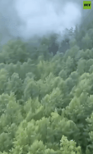 러시아 현지시간으로 24일 안가라 항공 소속 An-24 기종 여객기가 극동 지역 하바롭스크에서틴다로 향하던 도중 종착지 인근에서 추락했다. 국영 방송 RT 제공