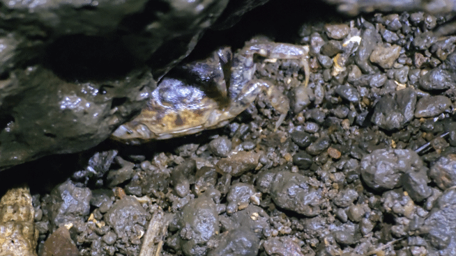 7fed8273b5856af451ed85e74e8374023a7a45f3b7de02aaf9d3a8719efc2ed5b5b6