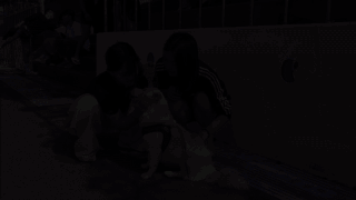 둥이는 정든 학교를 떠나 경기도 양평에 거주하는 개st하우스 구독자의 보살핌을 받고 있다. 전병준 기자