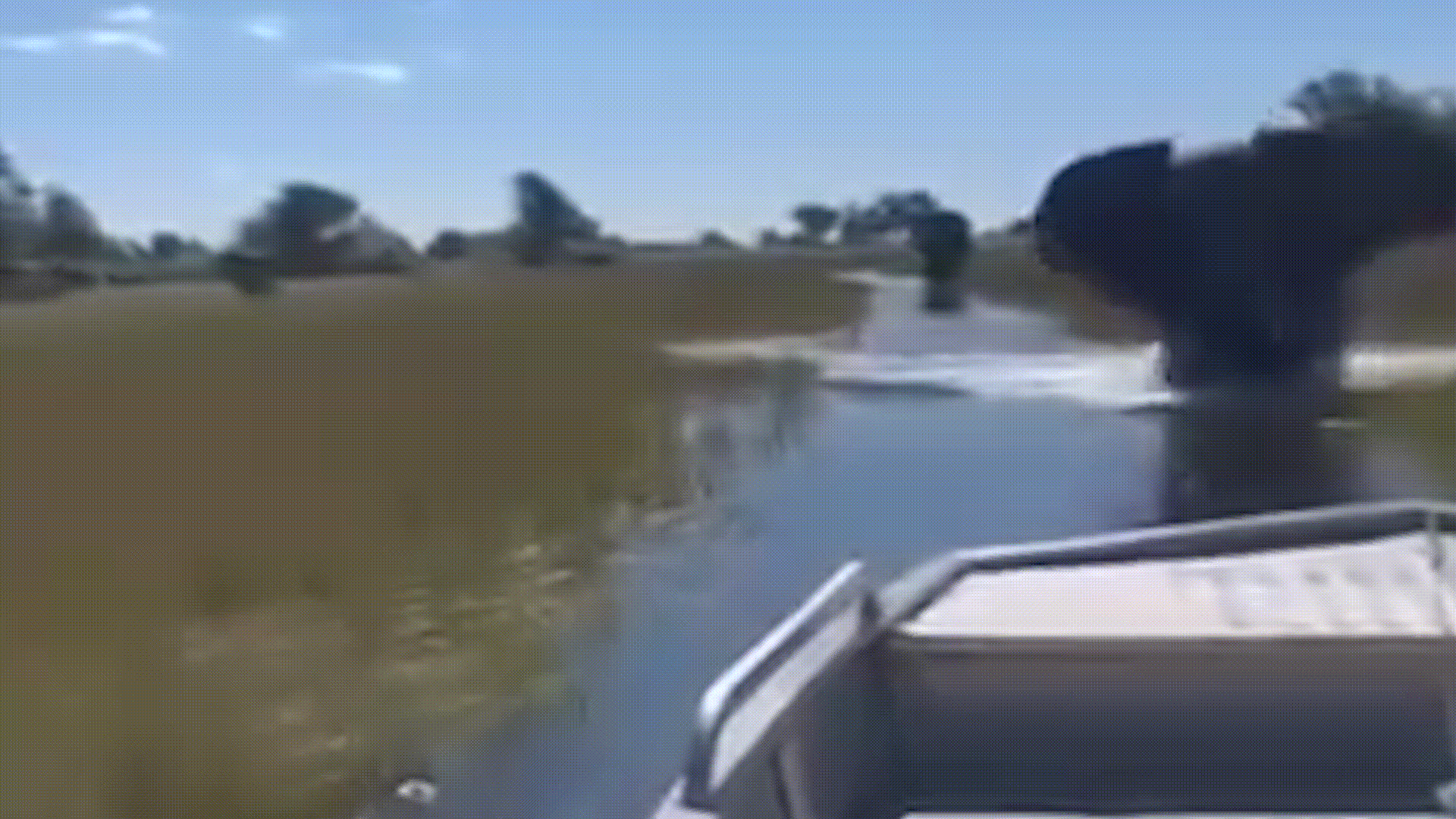 보츠와나 오카방고 델타에서 새끼를 보호하려다 분노한 어미 코끼리가 영국인 관광객들이 탑승한 투어 보트를 강하게 들이받은 사건이 발생했다. 페이스북 Wildfriends Africa 캡처