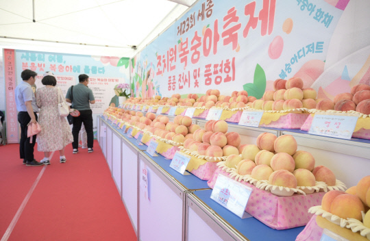 Jochiwon Peach Sales Promotion and Visitors