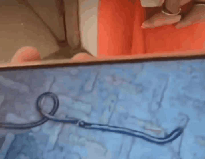 지난해 비하르주 가야에서, 뱀을 장난감으로 착각한 깨물어 죽인 아기 사진 (영상=X)