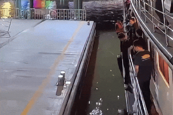 사진=방콕포스트 인스타그램/틱톡(@jumbok7) 캡처