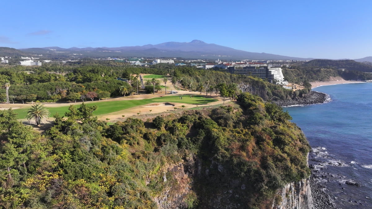 굳이? 이제 안 치죠