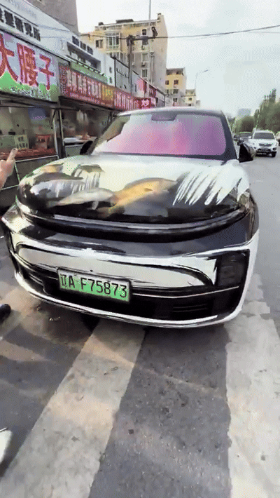 15일(현지시간) 홍콩 사우스차이나모닝포스트(SCMP)에 따르면 최근 중국 랴오닝성 선양시에서 보닛 안에 물고기를 채운 자동차가 포착됐다. 2025.7.15 더우인 화면