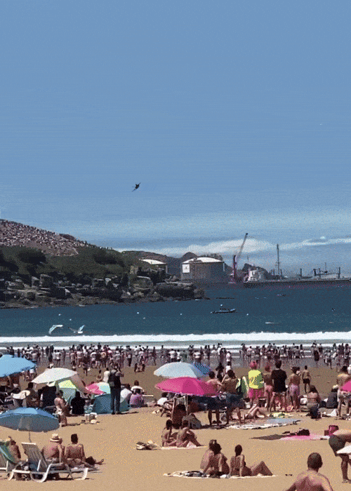 28일(현지시간) 스페인 히혼 항공 페스티벌에 참여한 스페인 공군이 새 떼를 피하기 위해 회피 기동을 펼쳤다. 사진=엑스 캡처