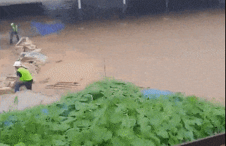 2023년 7월15일 ‘오송 지하차도 참사’ 전 인부들이 미호강 보강공사를 하는 모습. 도종환 국회의원 사무실 제공.