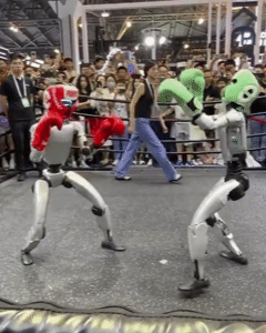 격투기를 하고 있는 로봇들. 발차기, 니킥, 잽 등의 동작을 부드럽게 구사한다. 출처=cgtn