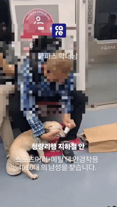 지하철 안에서 싫어하는 개에게 강제로 물파스를 바르고 목을 잡아 끄는 남성의 모습. 동물보호단체 케어 게시글