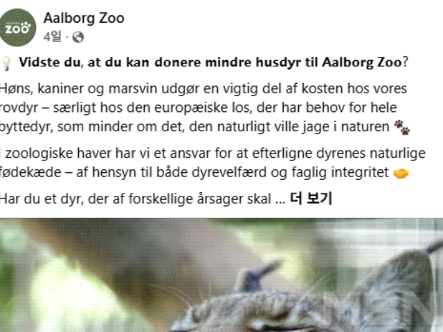 사진=올보르 동물원 페이스북 캡처