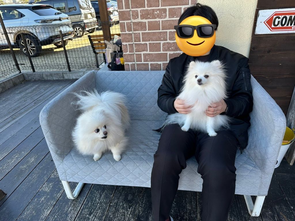 친구에게 아빠 무릎을 뺏긴 강아지의 표정 | 인스티즈