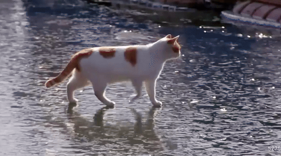 [뉴시스] 기자가 자신의 유튜브 채널에 공개한 원본 영상. (출처=유튜브 '5275 오이칠오') *재판매 및 DB 금지
