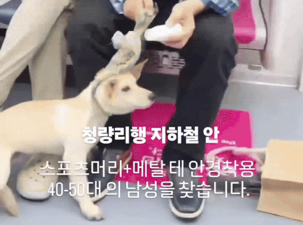 (SNS 갈무리)