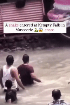 인도 우타라칸드주의 명소인 켐프티 폭포에서 뱀이 나타나 물놀이를 즐기던 사람들이 달아나는 모습. <출처=페이스북 Little Dehradun Stories 영상 갈무리>