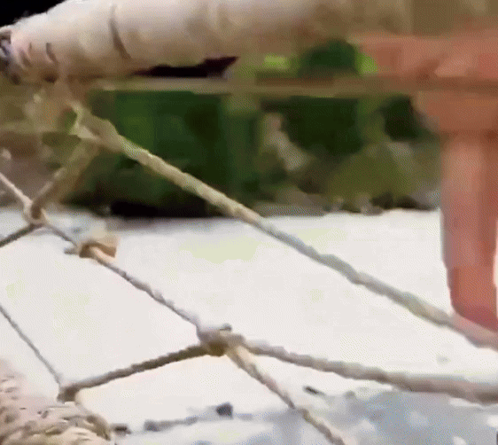 [뉴시스] 중국 현수교의 밧줄이 끊겨 다리 면이 기우는 사고가 발생해 5명이 숨졌고, 24명의 부상자가 나왔다. (사진=텐센트넷 캡처) *재판매 및 DB 금지