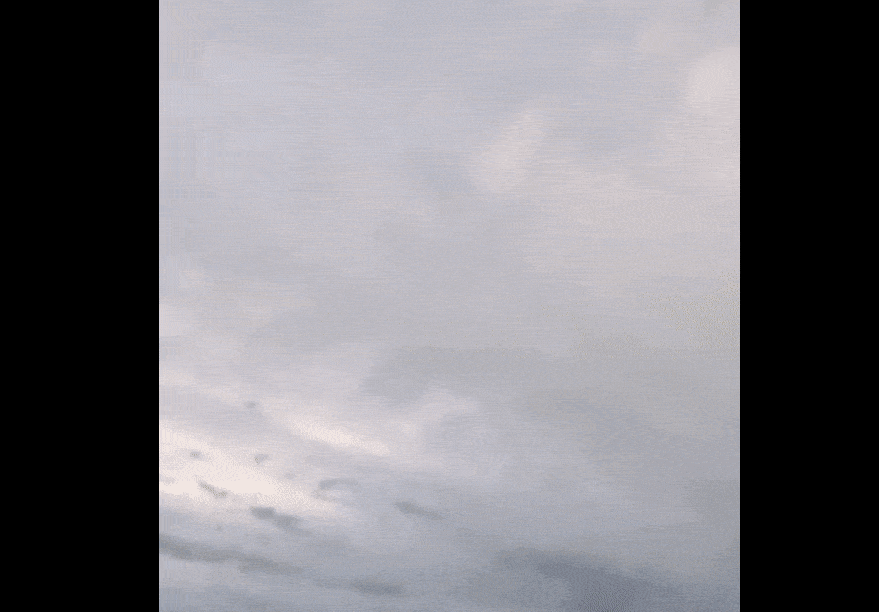 와일드 호넷이 공개한 영상의 일부