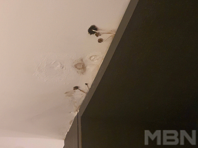 사진=온라인 커뮤니티 (블라인드)