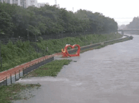 13일 한 네티즌은 "폭우에 서울 강북구 우이천 조형물이 떠내려가는 모습"이라며 영상을 올렸다. X(옛 트위터) @serinepi 캡처