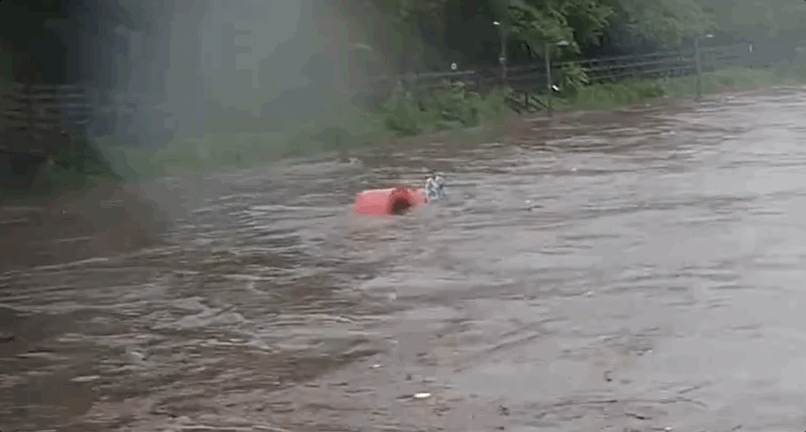 지난 13일 중부지방에 쏟아진 폭우에 서울 강북구 우이천 조형물이 떠내려가고 있다. /사진=SNS 갈무리