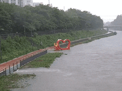수도권을 중심으로 집중호우가 내린 13일 서울 강북구 우이천에서 빠르게 불어난 물살에 빨간색 하트 조향물이 떠내려가고 있다. 엑스 계정 ‘serinepi’ 캡처