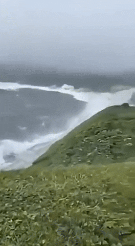 카렐리야 해안에서 한 남성이 개를 산책시키다가 쓰나미를 만났다. (영상=유튜브 @intresting stuff)