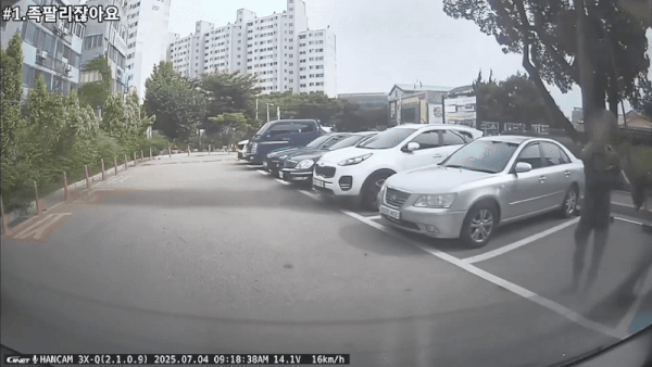 ('도참시 블랙박스' 갈무리)