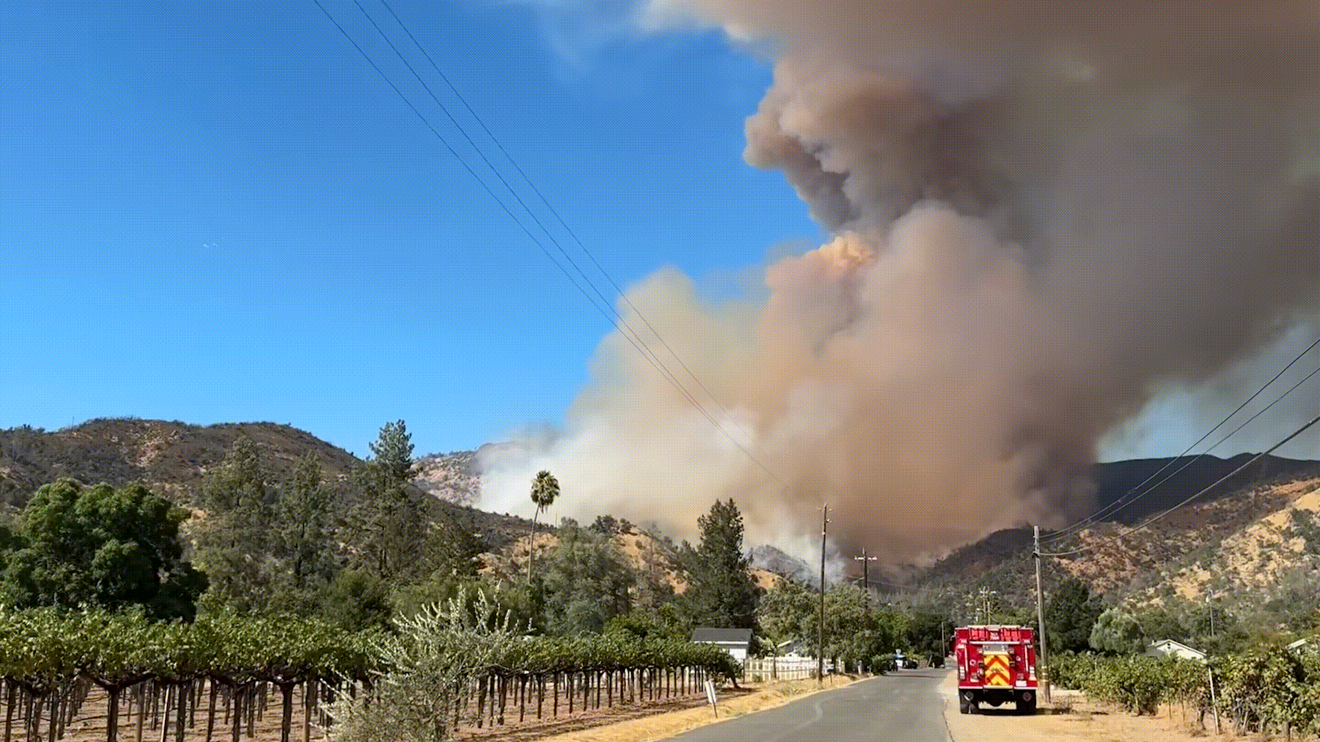 캘리포니아주 나파 카운티에서 번진 ‘피켓 화재’. 틱톡 craig.philpott0 캡처