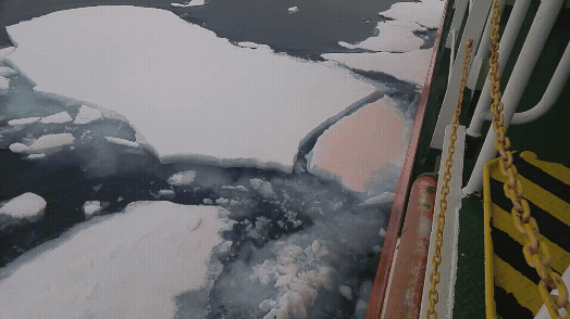 아라온호가 북극 탐험을 위해 항해하고 있다. [사진=정종오 기자]