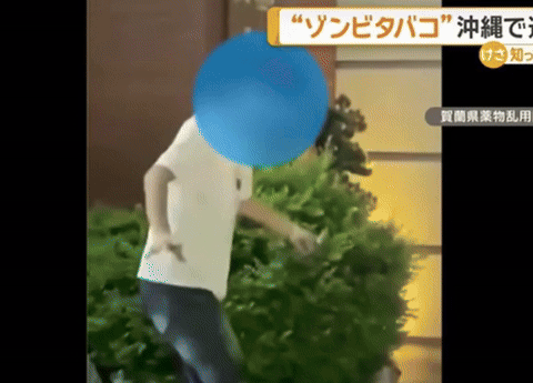 ⓒ일본 테레비아사히