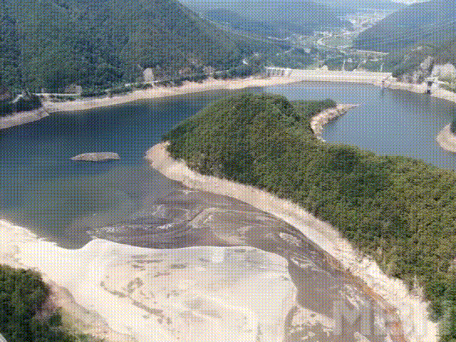 강릉 가뭄 영상 / 사진=MBN DB