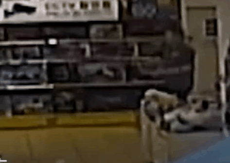 A씨가 우산을 든 마트 직원을 흉기를 들고 쫓아가며 위협했다 [사진=경찰청 유튜브]