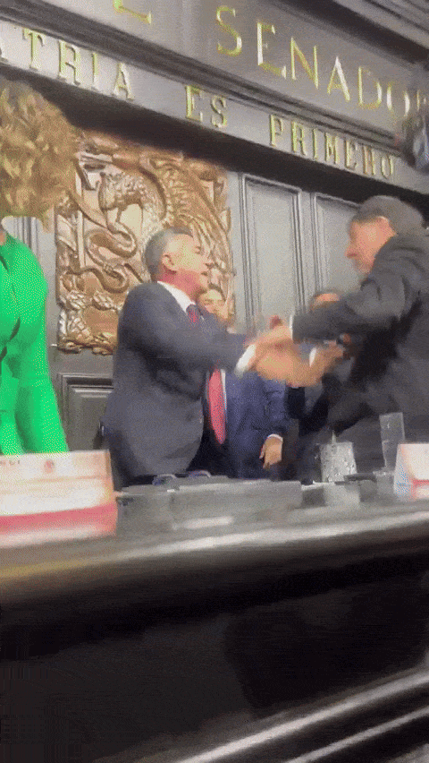 멕시코 야당 제도혁명당(PRI)의 알레한드로 모레노 카르데나스 대표(왼쪽)가 27일(현지시간) 멕시코시티 국회의사당에서 집권 국가재생운동(모레나) 소속 게라르도 페르난데스 상원의장을 밀치고 있다. 안드레아 차베스 상원의원 엑스 갈무리