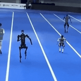 트랙 바깥을 걷던 사람과 부딪힌 유니트리 로봇. 온라인 커뮤니티 캡처