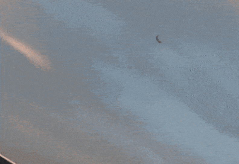 사고 당시 모습을 담은 영상의 일부