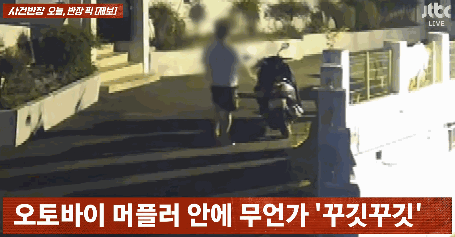 또 다시 나타난 남성은 오토바이 머플러 안에 무언가를 넣고, 안장에 담배를 비비며 끄기까지 했다. 〈영상=JTBC '사건반장'〉