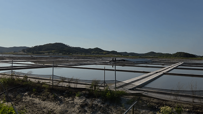 사진=안혜원 기자