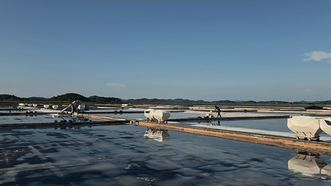 사진=안혜원 기자