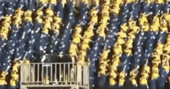 과거 제주도 고교들이 펼친 '백호기' 축구경기 응원전 모습. /레딧 캡처
