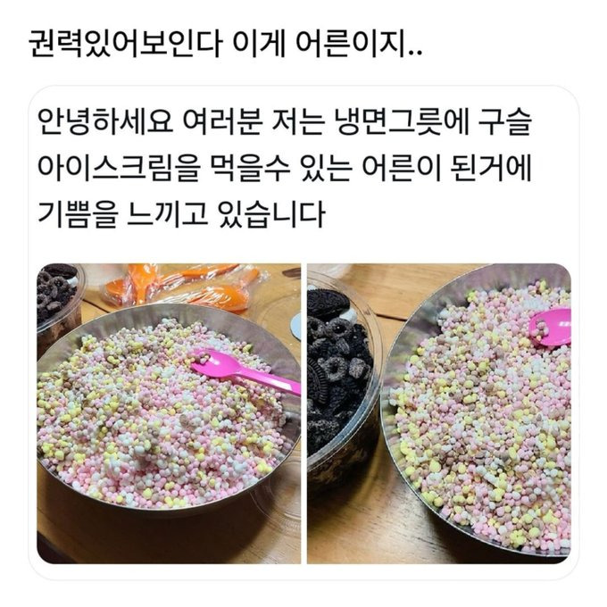 어른되면 하고싶었던 로망을 이룬 사람.jpg | 인스티즈