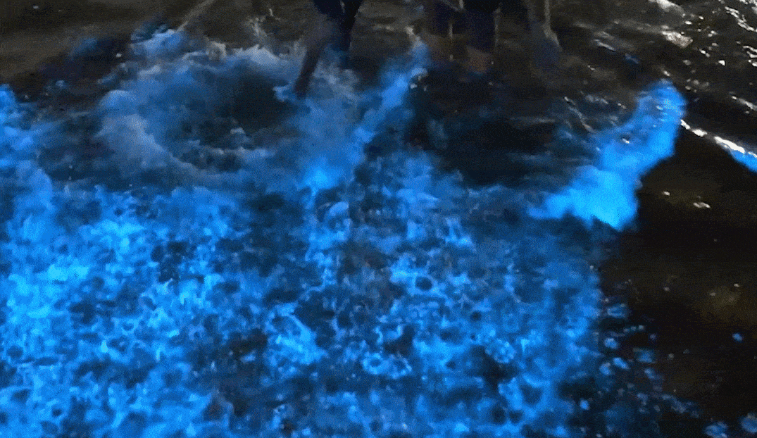 현지 소셜미디어에 공개된 영상의 일부