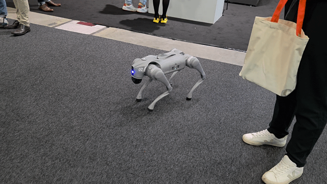 중국 로보틱스 기업 유니트리가 5일(현지시간) 독일 베를린에서 열린 'IFA 2025'에 전시한 4족 로봇견 'A2'./베를린(독일)=최지은 기자
